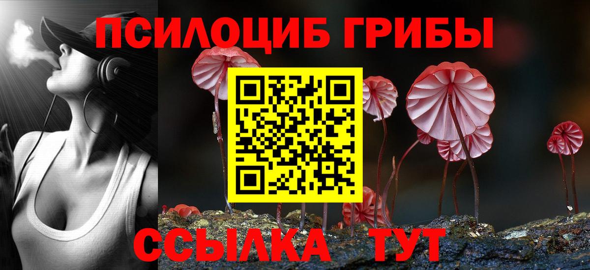 Минусинск  Псилоцибиновые грибы ЛСД  где купить наркоту  Вход с VPN 