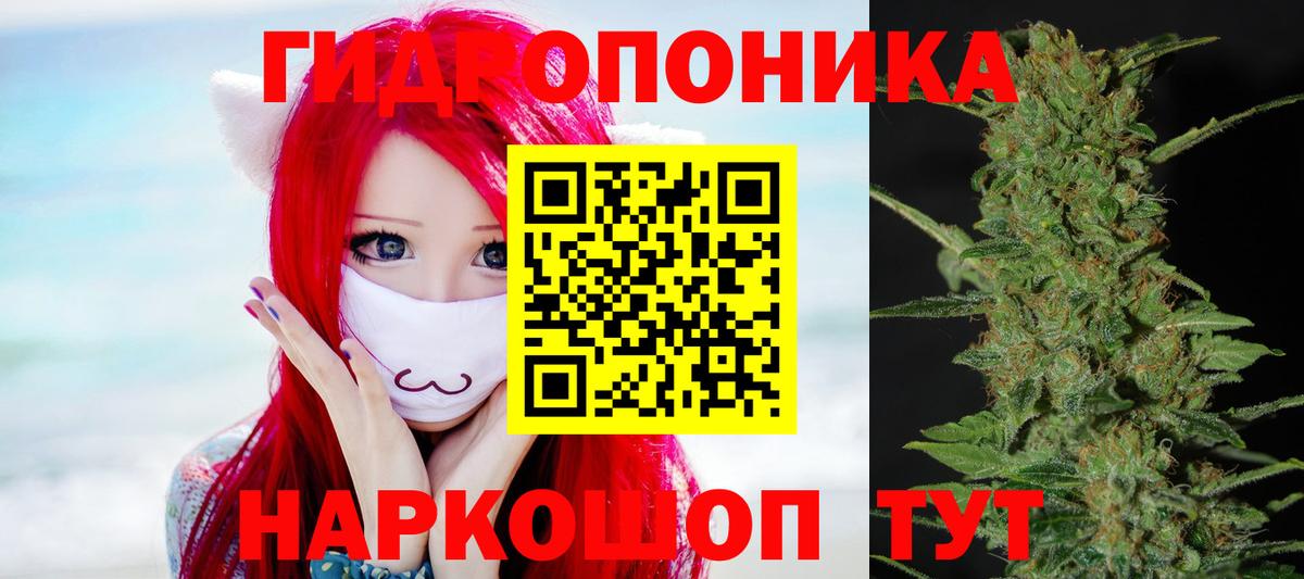 Минусинск  Бошки марихуана Bruce Banner  Конопля план  Бошки Шишки MAZAR  Вход с VPN  Бошки марихуана Ganja 